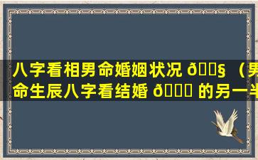 八字看相男命婚姻状况 🐧 （男命生辰八字看结婚 🍀 的另一半）